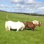 Ceol Na Dtonnta Maison d'hôtes Doolin