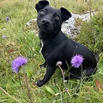 Ceol Na Dtonnta 3* Doolin