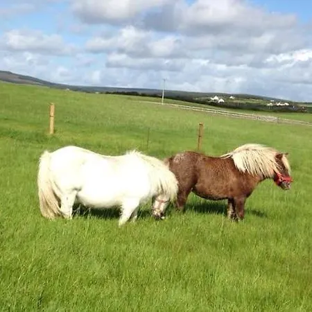 Ceol Na Dtonnta Гостевой дом Дулин